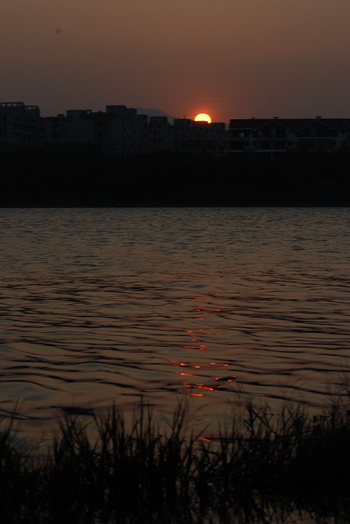 夕阳，可惜没彩霞。